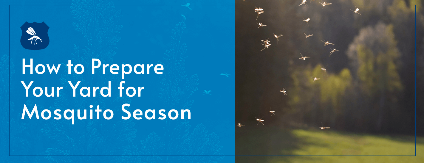 pest control service