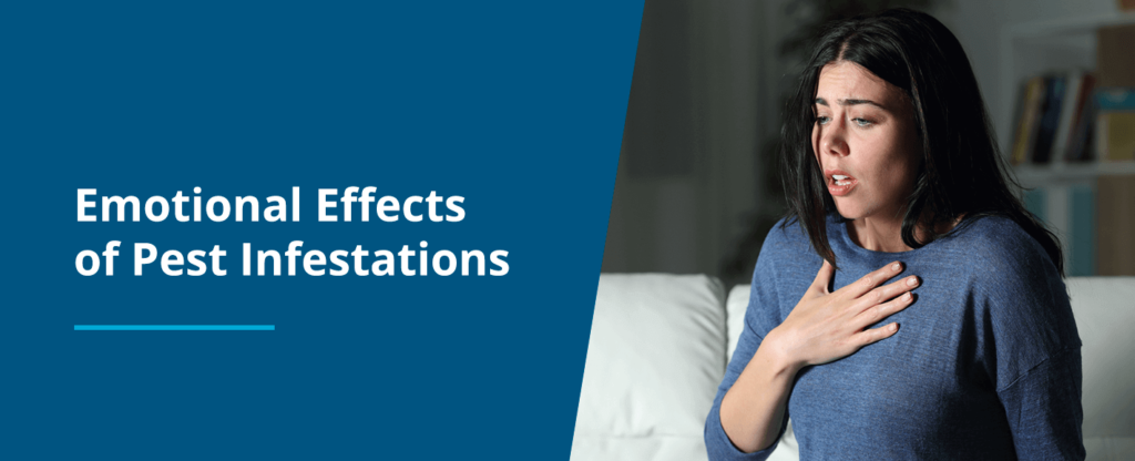 pest control service