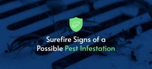 surefire-signs-of-a-possible-pest-infestation