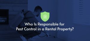 pest control near me