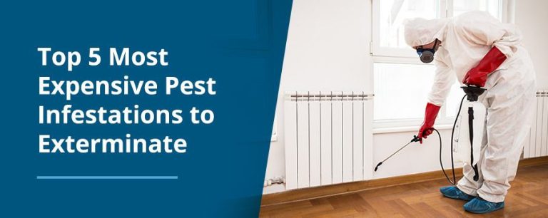 pest control service