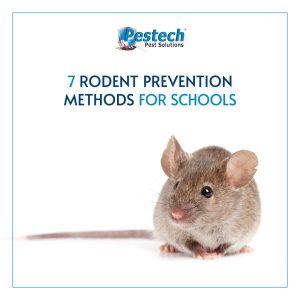 pest control service