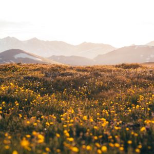 Your Complete Guide to Booking Colorado Adventures: From Flight Reservations to Mountain Expeditions