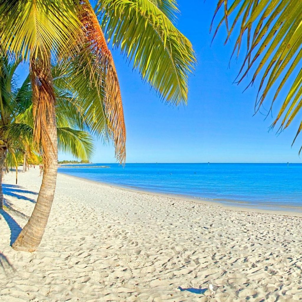 royal caribbean cruises