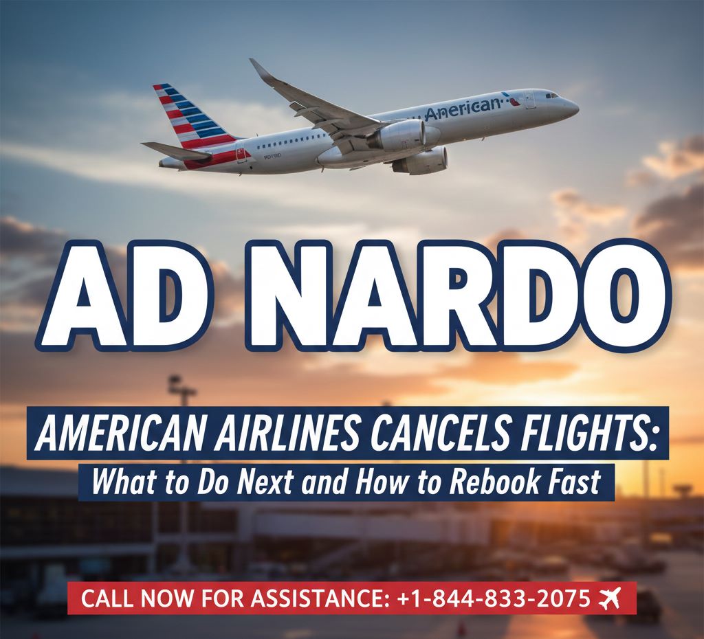American Airlines Cancels Flights: What to Do Next and How to Rebook Fast