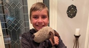 Your Flight Booking Journey Just Got Easier: Expert Help When You Need It Most