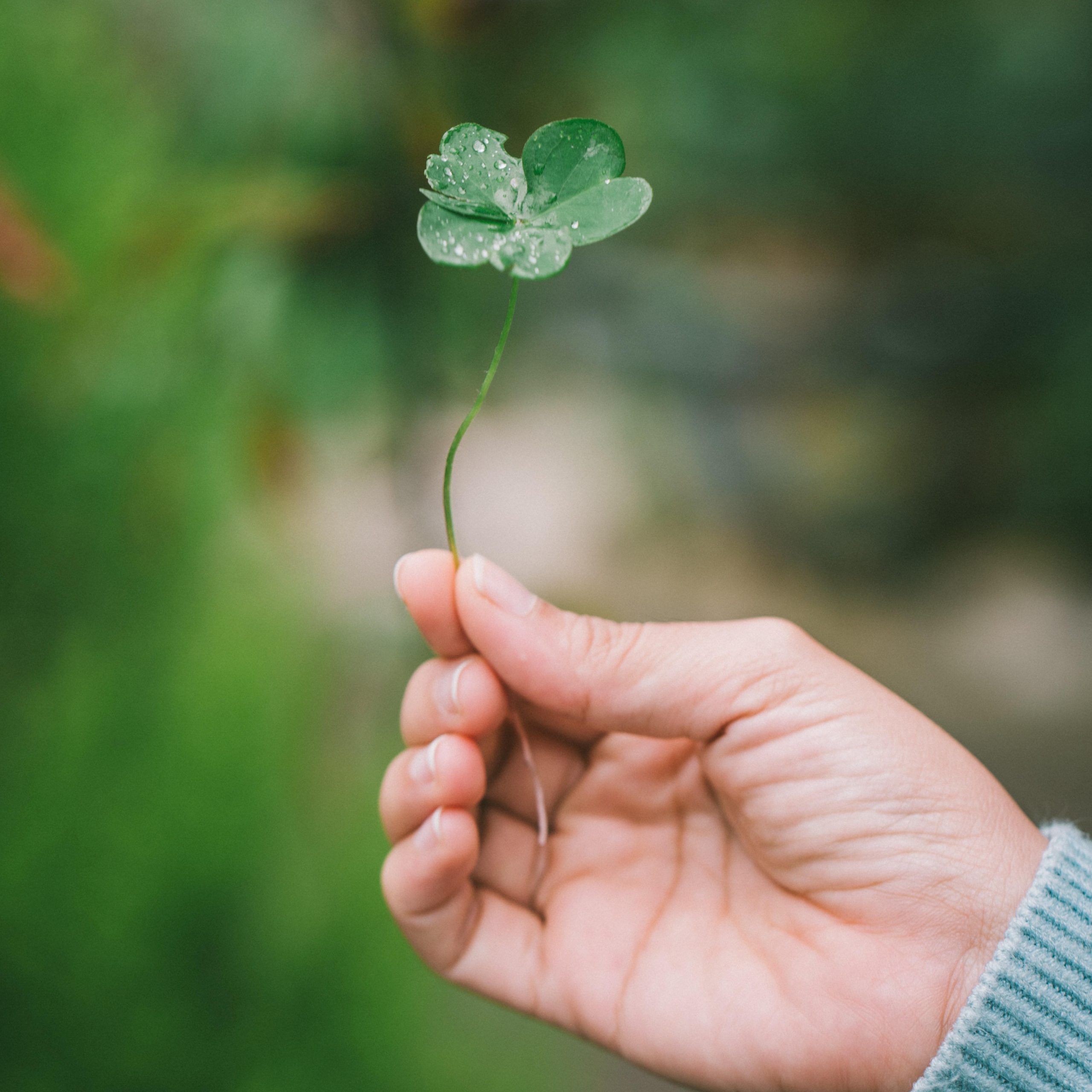 Ultimate St. Patrick’s Day Destinations: Where to Book Your Perfect Holiday Flight