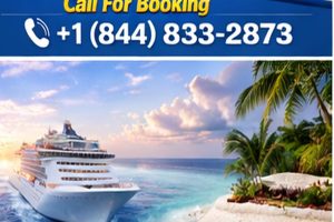 Royal Caribbean cruises