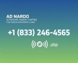 Ultrasonic Rodent Control