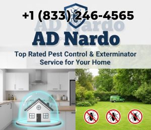 Pest Control & Exterminator Service