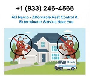 Pest Control and Exterminator Service
