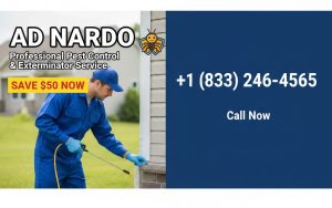 Pest Control & Exterminator Service