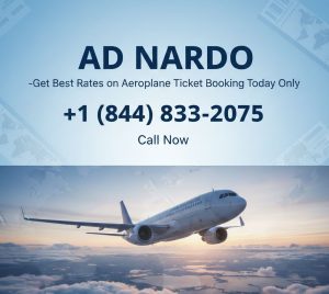 aeroplane ticket booking