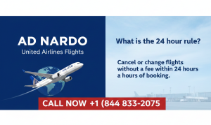 united airlines flights