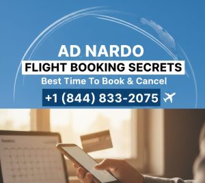 flight booking