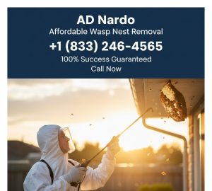 wasp nest removal
